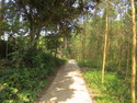 This path as well as many others is listed in google maps. How they know about all the tiny alleys and small paths in Southeast Asia is beyond me.