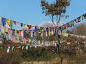 Prayer flags in field