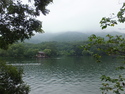 Purple mountain