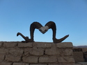 Rams horn