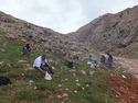 Rich kurdish man french guy and construction workers