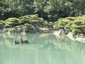 Ritsurin garden