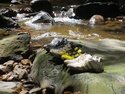 I love the way Asians discard their shoes by the river...