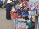 Strawberries for sale in da lat