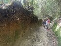 Me, Avi, and Aabhash on a sunken trail in Shivapuri Nagarjun National Park