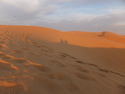 Sunrise over the sand dunes