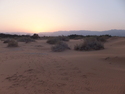 Sunset over the desert by samar