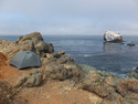 Sweet campsite on pch