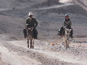 Tajik herders