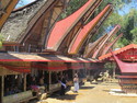 Tana toraja funeral