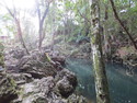 Tana toraja water hole