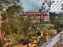 The Orchard, the indoor garden at Hamad International Airport in Doha