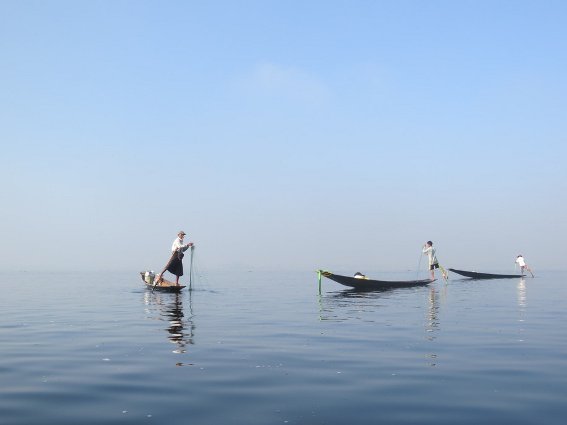 Three Inle fisherman rowing with their legs