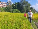 Tony and Avi heading back through the rice