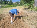 Tony digging in the garden