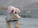 Toy pig on chimney