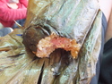 Traditional jungle food
