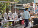 Umbrellas in bags
