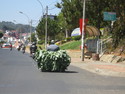 Vegetables on a motorbike