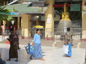 Woman carrying a tray of pineapple on her head